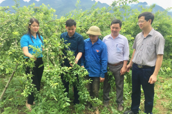 Tẩn Sèo Hỳ ” Gương mặt thanh niên làm giàu từ nông nghiệp nổi bật”