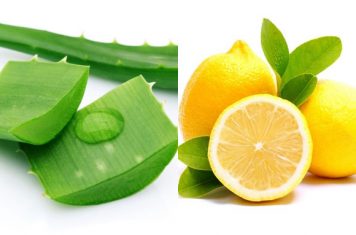 Tác dụng thần kỳ của nha đam với da mặt